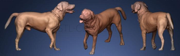 3D model DOG A44 (STL)